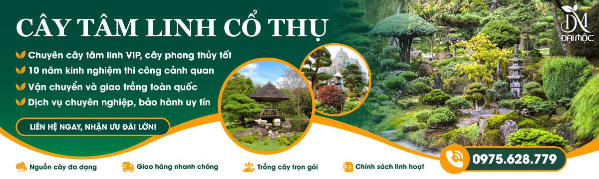 Banner liên hệ