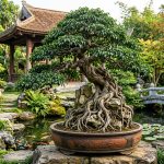 Cây cổ thụ độc bản tinh tuyển