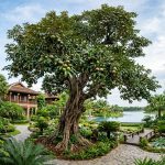 Cây cổ thụ độc bản tinh tuyển