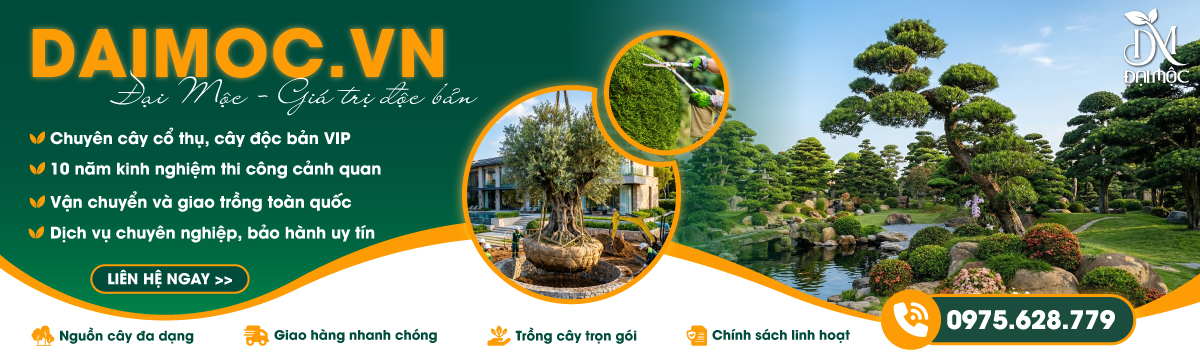 Banner trang chủ
