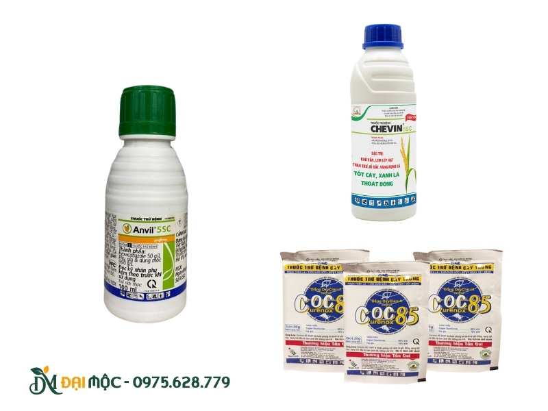 Thuốc đặc trị cho nấm gỉ sắt