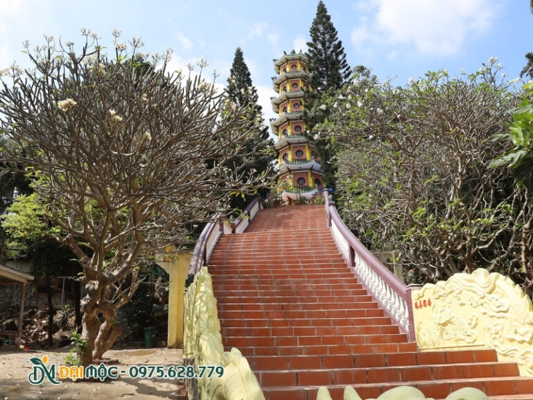 Hoa đại trắng trồng ở chùa