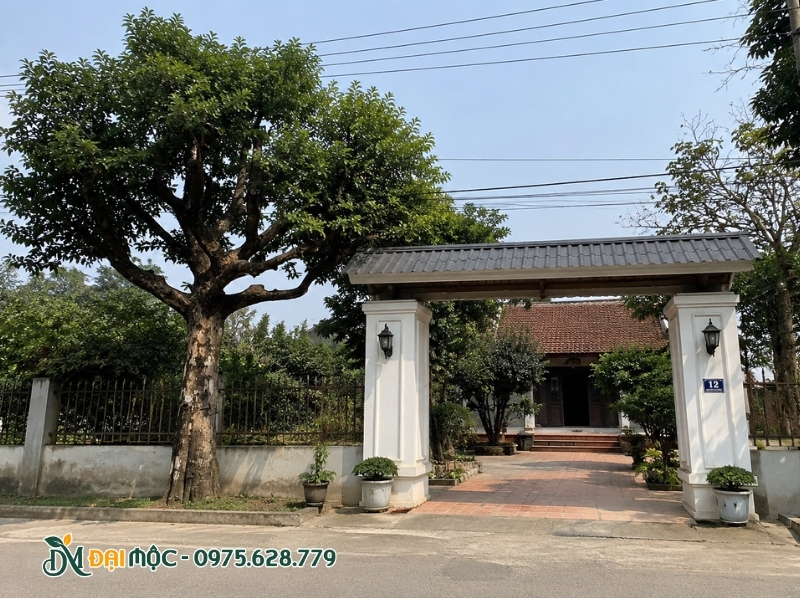 Cây thị cổ thụ được trồng ở một bên cổng nhà
